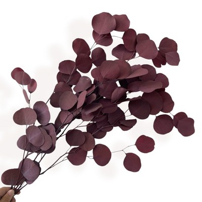 Alilang Decorative Dried Eucalyptus Stems for Home Decoration and Crafting Arrangements, 26.5 Inches