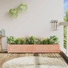 vidaXL Garden Planter 70.9" x 12.2" x 12.2" Solid Wood Douglas - 3 of 4