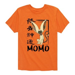 Boys' - Avatar: The Last Airbender - Momo Cute Short Sleeve Graphic T-Shirt - 1 of 4