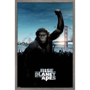 Trends International Rise of the Planet of the Apes (2011) - One Sheet Framed Wall Poster Prints - 1 of 4