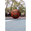 Wilson Nba Size 6 Basketball : Target