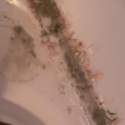 Guest review image 2 of 3, zoom in