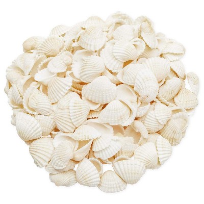 200 Counts Clam Seashells, Beach Ocean Marine Sea Shells for DIY Crafts Home Wedding Birthday Baby and Bridal Shower Décor, White