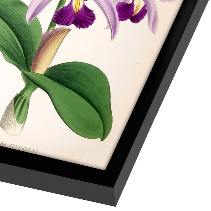 Americanflat 2 Piece 16x20 Wrapped Canvas Set - Fitch Orchid 
by New York Botanical Garden - botanical  Wall Art, 4 of 7