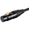 Monoprice Starquad XLR Microphone Cable - 10 Feet - Black | XLR-M to XLR-F, 24AWG, Optimized for Analog Audio - Gold Contacts - Stage Right Series - 4 of 4