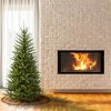 4.5' Unlit Dunhill Fir Artificial Christmas Tree - National Tree Company - 2 of 4