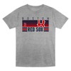 MLB Boston Red Sox Toddler Boys' 2pk Gray T-Shirt - 2 of 3