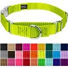 Country Brook Petz Heavyduty Nylon Martingale with Premium Buckle - 2 of 4