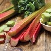 Van Zyverden 5ct Roots Rhubarb Victoria - 2 of 4