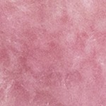 pink/purple princess