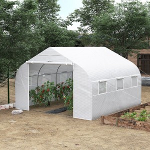 NicBex 12'x10'x7' Walk-in Tunnel Greenhouse with Roll-up Windows and Zippered Door, PE Cover for Growing Flowers, Herbs, Vegetables, Saplings, Beige - 1 of 4