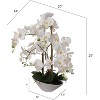 Floral Home 23" White Phalaenopsis in White Boat Vase - 1-Piece - 4 of 4