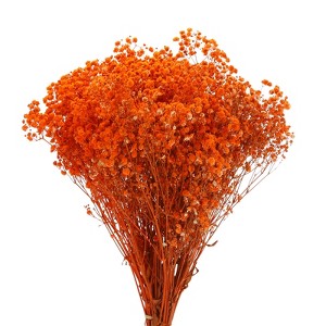 Unique Bargains Natural Dried Baby's Breath Flowers Branches for Wedding Party Decoration Orange 2 Pcs - 1 of 4