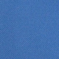 dutch blue
