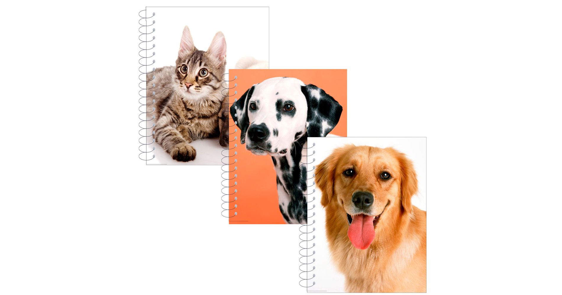 Fat Spiral Notebook - 5.5 X 4 Inches, Assorted Animal Designs, Poly Cover, 200 Sheets (48 Packs)