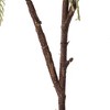 Vickerman Artificial 39" Glitter Reed Spray - 3 of 4