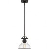 Quoizel Lighting Grant 1 - Light Pendant in  Palladian Bronze - 3 of 4