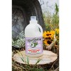 Rebel Green Lavender & Grapefruit Laundry Detergent - 68 fl oz/2ct - 2 of 3