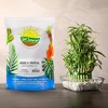 Soil Sunrise Tropical House Plant Potting Mix for All Types of Indoor House Plants - 2 of 4