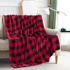 Lomsoe Christmas Grid Blanket Holiday Printed Flannel Throw Blanket Perfect Holiday Decor Gift for Family Friends Christmas Gift. - 2 of 4