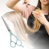 Unique Bargains Flat Shears Hair Cutting Scissors Detangling Styling Comb Set - 4 of 4