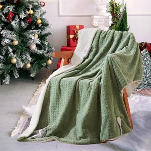 Electric Heated Blanket Throw, Ultra Soft Cozy Flannel Heating Blanket with 5 Fast Heat Levels - 1 of 4