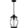 Luther 1-Light Earth Black Outdoor Hanging Lantern - 3 of 4