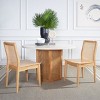 Benicio Rattan Dining Chair (Set of 2) - DCH1005 - Safavieh - 3 of 4