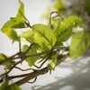 Sullivans Artificial Leaf & Twig Garland 72"L Green - 2 of 4