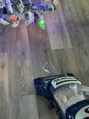 Guest review image 2 of 4, zoom in