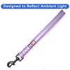 Pawtitas Padded Reflective Short Dog Training Leash _ 1FT Durable No-Pull Lead for Control & Safety - 4 of 4