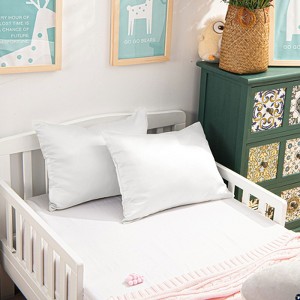 2 Pack Zippered Satin Toddler Pillowcases, Luxury Travel Pillow Covers - NTBAY - 1 of 4