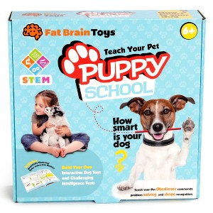  Fat Brain Toys Puppy School FB384-1 - 1 of 2