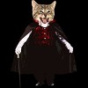 Junior's Design By Humans Catcula Cat Kitten Dracula Cute Funny Halloween t shirt By JOHANNESART T-Shirt - 2 of 3