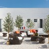 Acekool Artificial Olive Tree in Pot with Lifelike Fruits – Indoor Faux Silk Potted Tree for Home and Office - 4 of 4