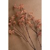Faux Rice Flower Stem – 40" Tall Decorative Floral Accent by Kalalou - 3 of 3