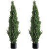 Forever Leaf 60" Cedar Boxwood in Black Pot (2 Pack), Indoor Artificial Plant for Home Decor - 2 of 4