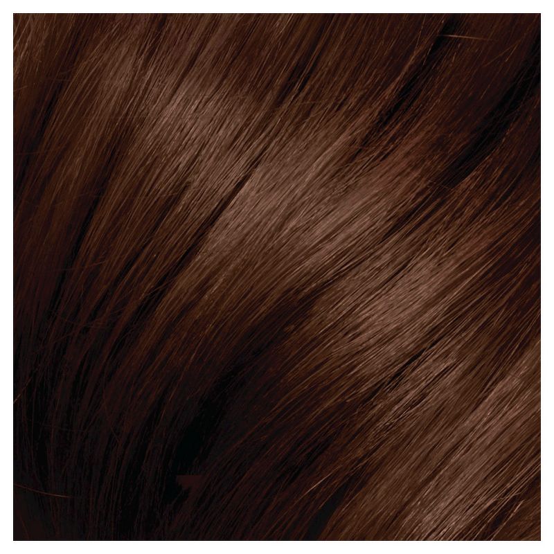 Vidal Sassoon Pro Series Permanent Hair Color - 3.7 fl oz - 4GN Dark Royal Chestnut - 1 kit, 5 of 6