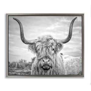 Stupell Industries Grey Highland Cow Photograph Floating Frame Canvas Art, Gray, 21" x 17" - 1 of 4