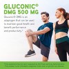 DaVinci Labs Gluconic DMG 500 mg - Dietary Supplement to Support Endurance and Immune System Function* - Vegetarian - Gluten-Free - 60 Chewable Tabs - 3 of 4