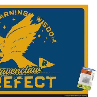 clear push pins bundle