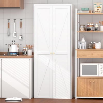 JUJABU Tall Steel Kitchen Pantry Cabinet with 2 Doors, Adjustable Shelves, for Kitchen, Living Room, Dining Room & Office