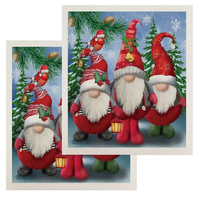 Briarwood Lane Winter Gnomes Christmas Swedish Dishcloth (2-pack)