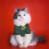 NFL Green Bay Packers Pets First Mesh Pet Football Jersey - Green M - 4 of 4