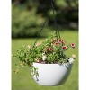 Gardener's Supply Company Viva Self-Watering Hanging Basket With Easy-Fill Water Port | 14 Inch Diameter Includes Hanging Chain & Hook - Blue - 3 of 4