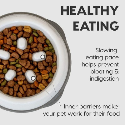 White and Beige Slow Feeder Dog Bowl with Anti-Slip Base