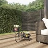 Tricycle Plant Stand  2-Tiered Indoor or Outdoor Decorative Vintage-Look Metal Display for Patio, Deck, Home or Lawn by Pure Garden (Black) - 4 of 4