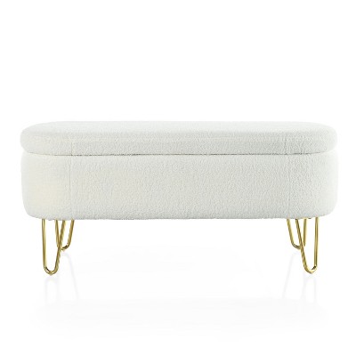 Christopher Knight Home Lvan Wood and Mental Multifuntional Storage Ottoman Bench