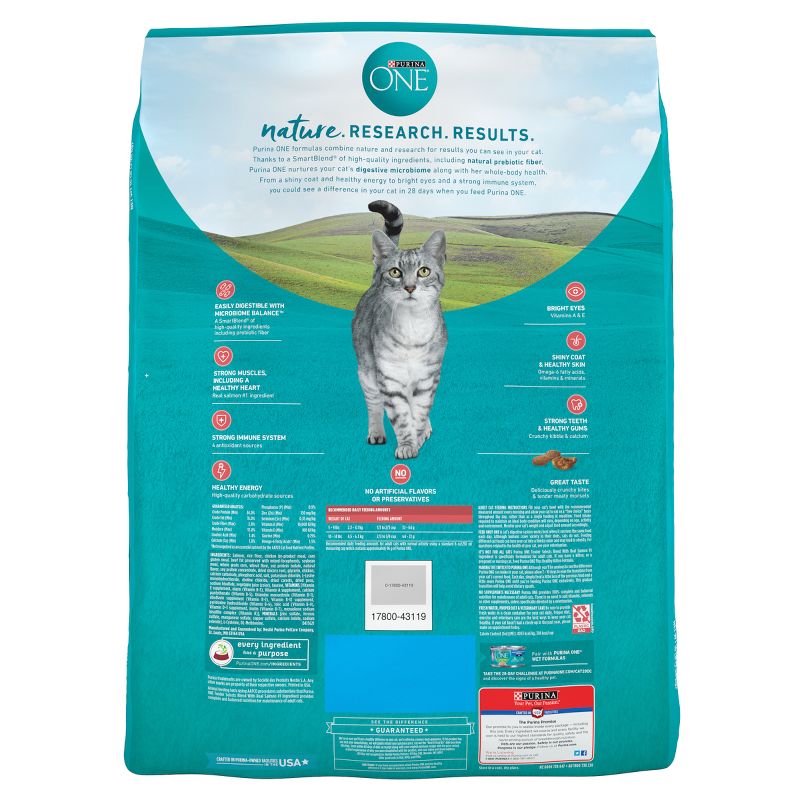 Purina ONE Tender Selects Natural Dry Cat Food with Real Salmon & Fish, 4 of 10