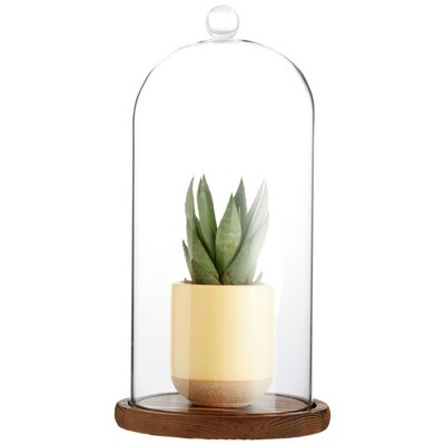 Clear Glass Cloche Dome with Wooden Base, 11 Inches